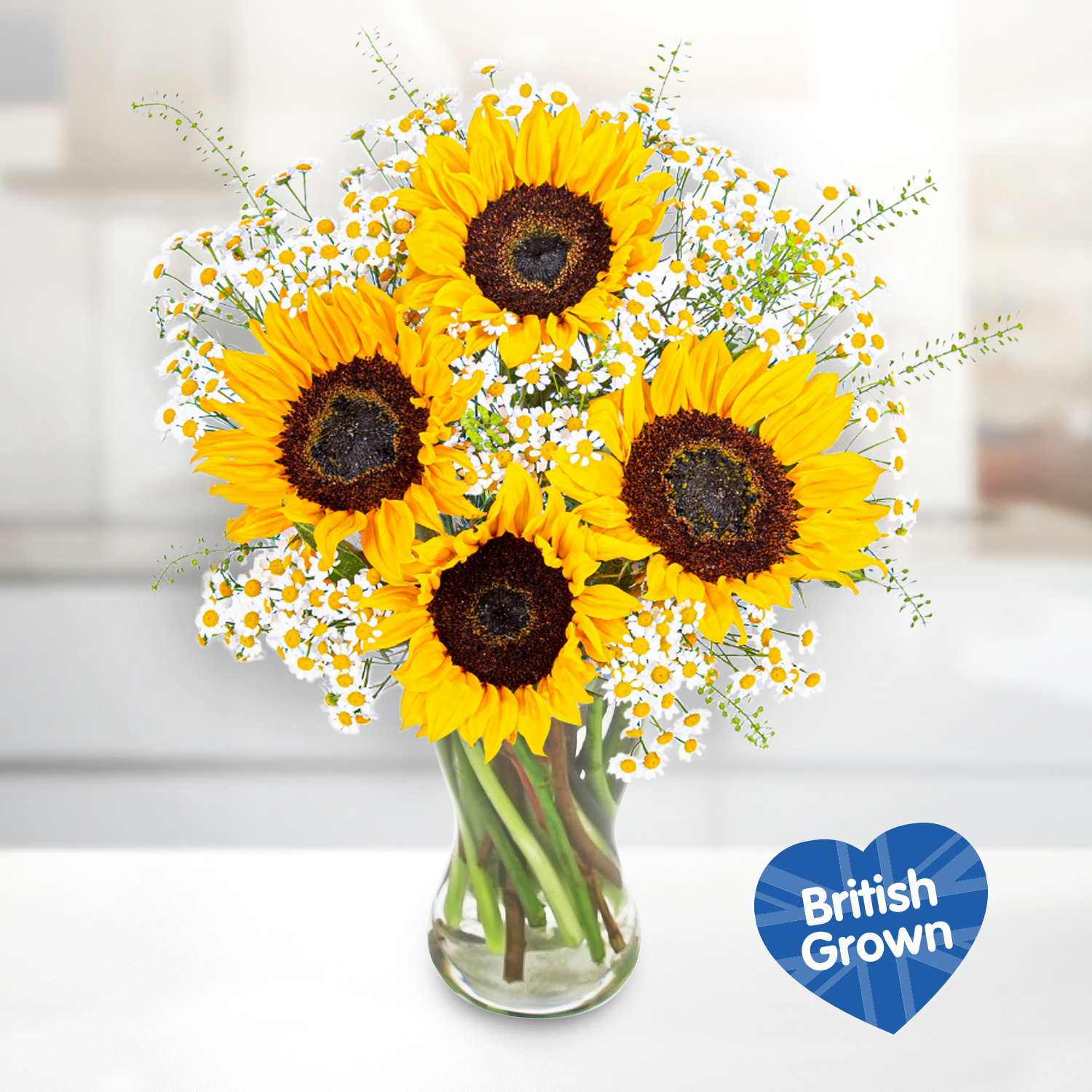 British Sunflower Surprise B&M Flowers