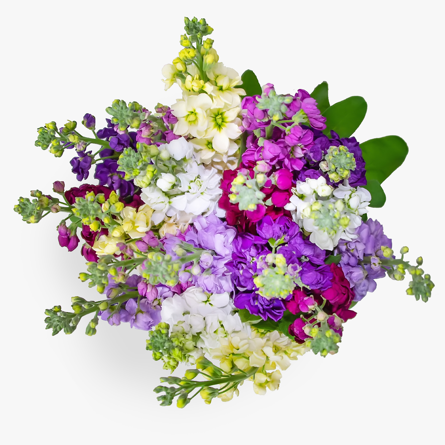 British Stocks B&M Flowers