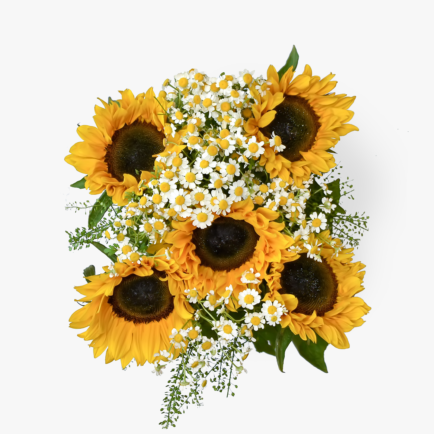 Sunflower Surprise B&M Flowers