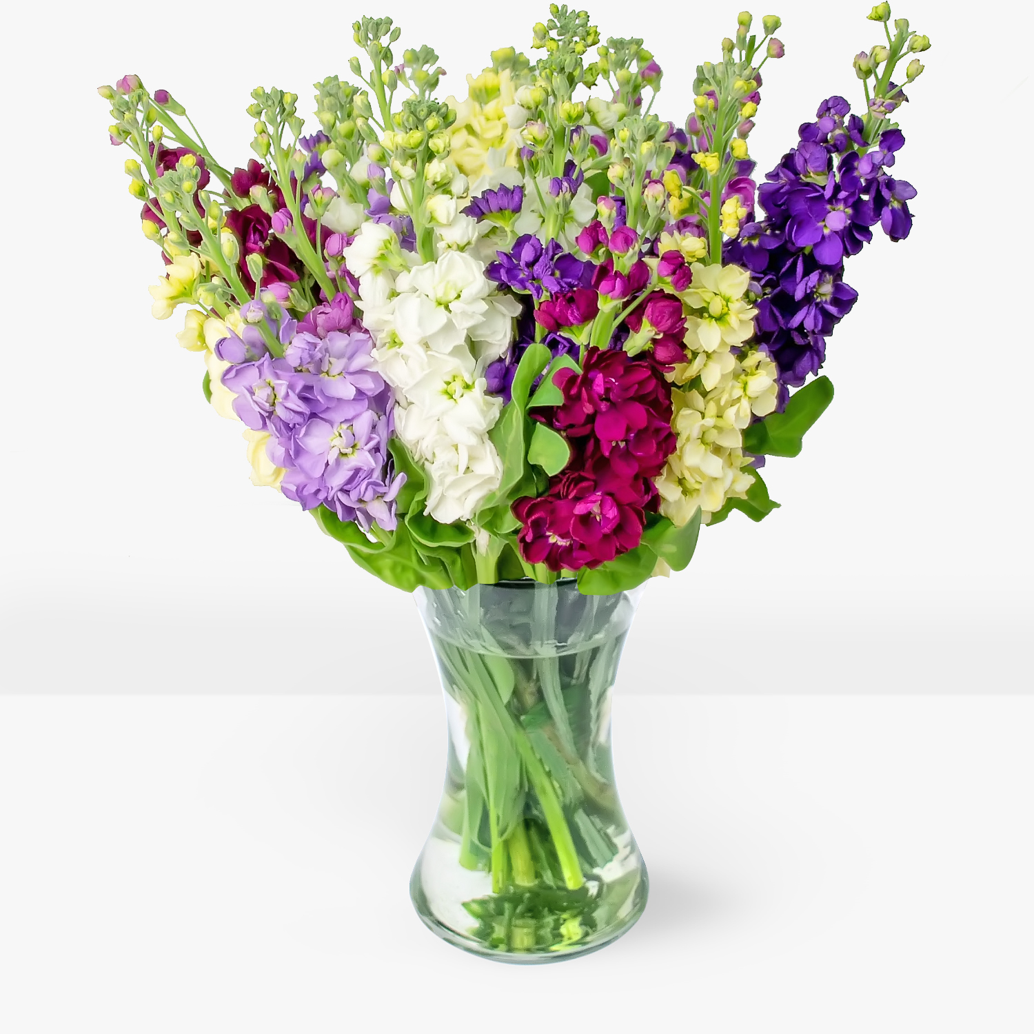 British Stocks B&M Flowers