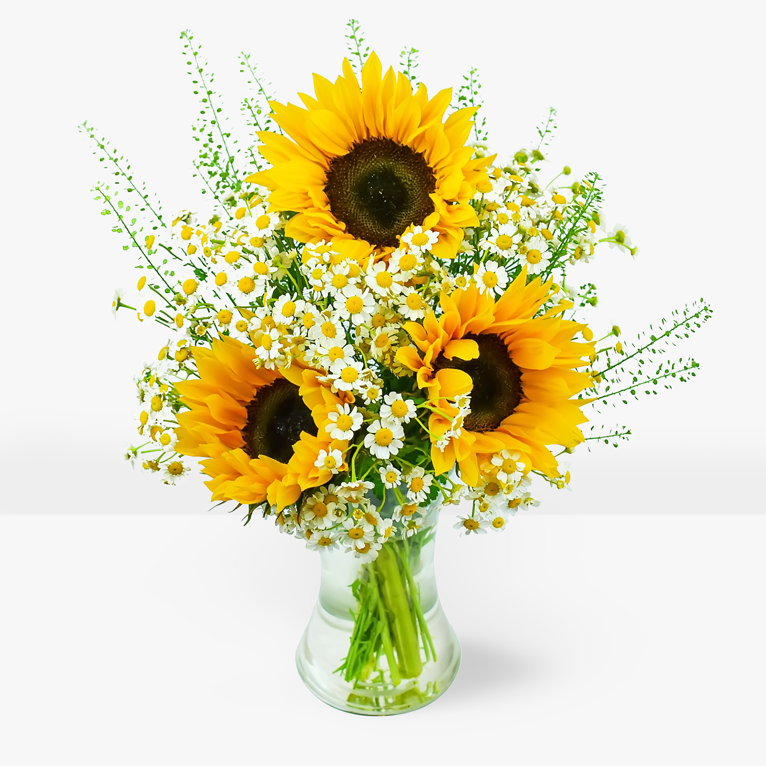 Sunflower Surprise B&M Flowers