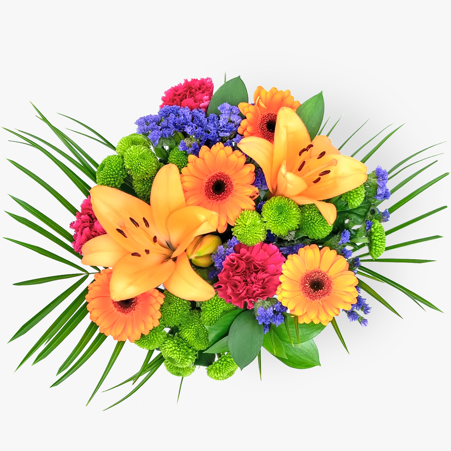 Colourful Carnival B&M Flowers