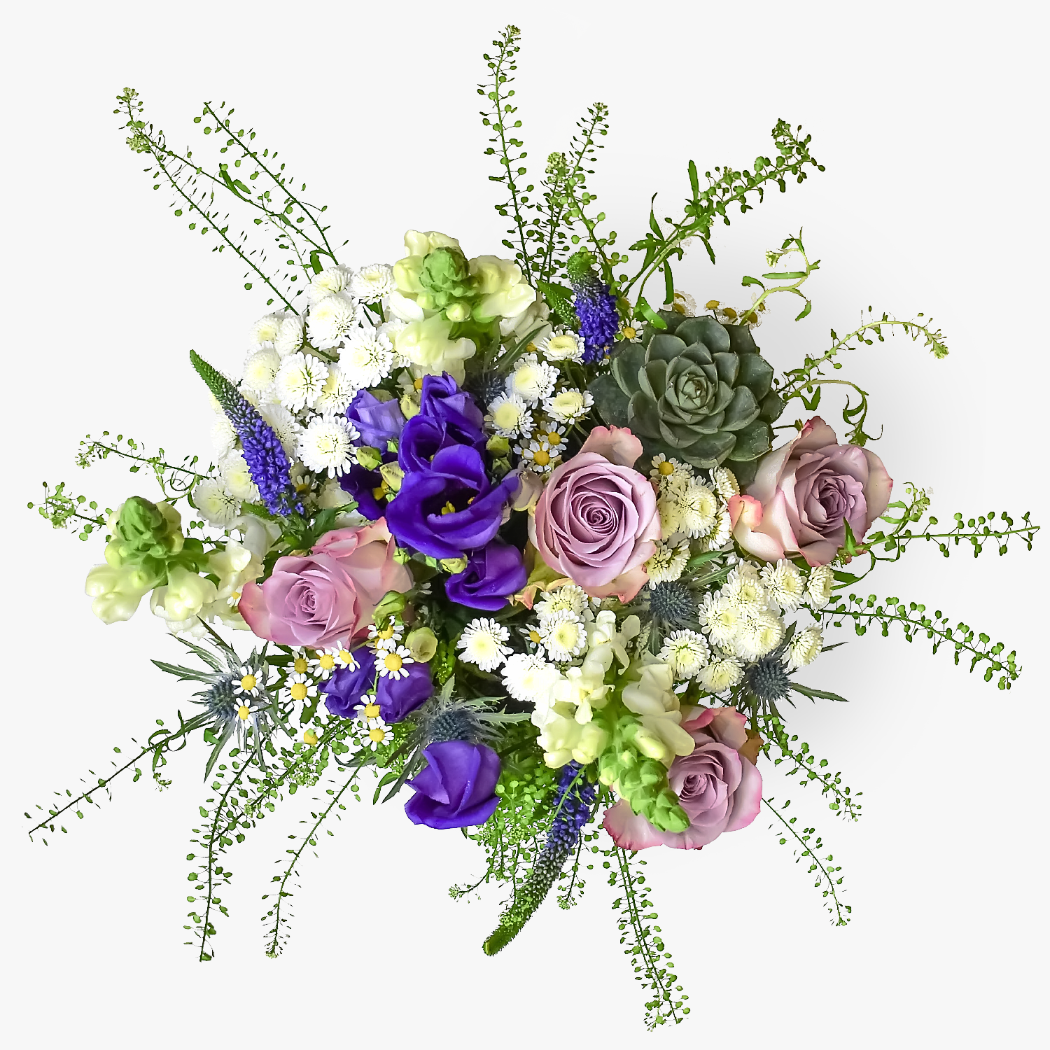 Wild Escape B&M Flowers